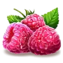 icon 3