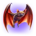icon 4