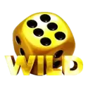 icon 10