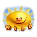 icon 1
