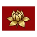 icon 11