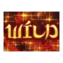 icon 12