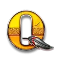 icon 9