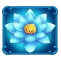 icon 5