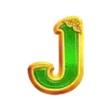 icon 9