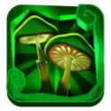 icon 4
