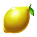 icon 6