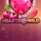 Hearts go Wild