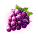 icon 5