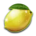 icon 3