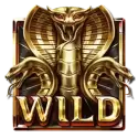 icon 9