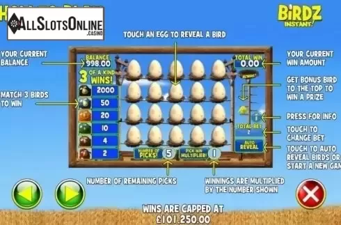 Info. Birdz Instant Win from Games Warehouse