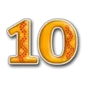 icon 10