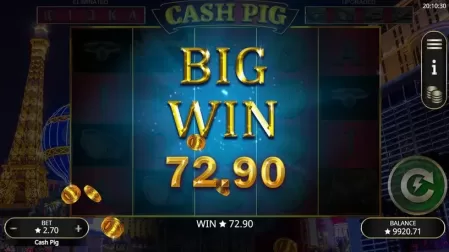 Cash Pig slot screenshot 5