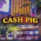 Cash Pig