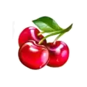 icon 7