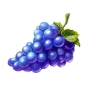 icon 6