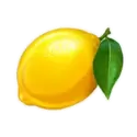 icon 9