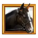 icon 5
