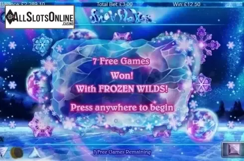 Screen 4. Snowflakes from NextGen