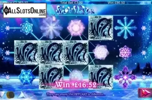 Screen 5. Snowflakes from NextGen