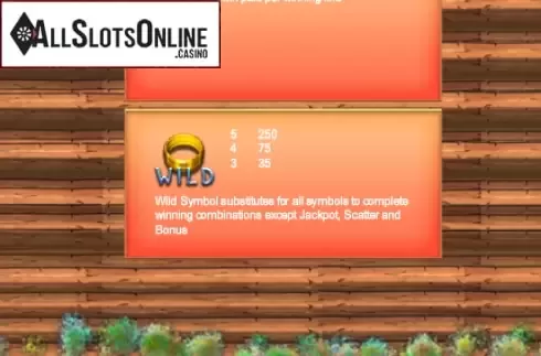 Screen5. Treasure Hunter (Portomaso Gaming) from Portomaso Gaming