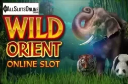 Wild Orient