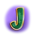 icon 9
