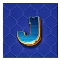 icon 12