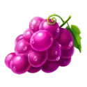 icon 3