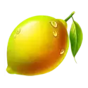 icon 6
