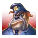 icon 1