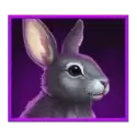 icon 5