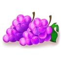 icon 5