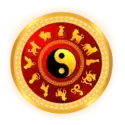 icon 5