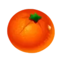 icon 10
