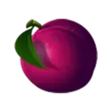 icon 12