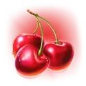 icon 10