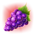 icon 6