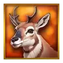 icon 2