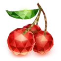 icon 9