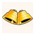 icon 4