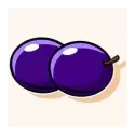 icon 7