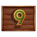 icon 10
