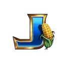 icon 13