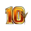 icon 14