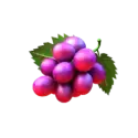 icon 4