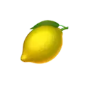 icon 5