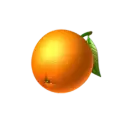 icon 6