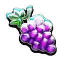 icon 5